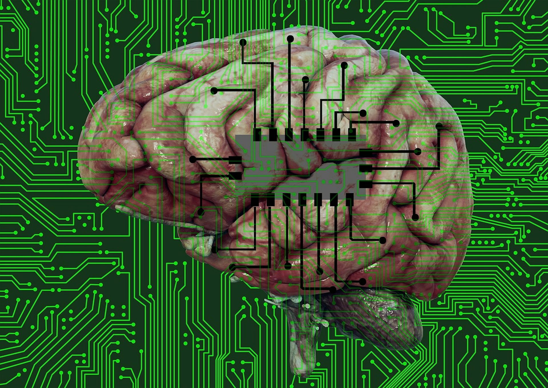 Мозг изучен на процентов. Изучение мозга. Человеческий мозг и чип. Мозг компьютера. Органоидный интеллект.